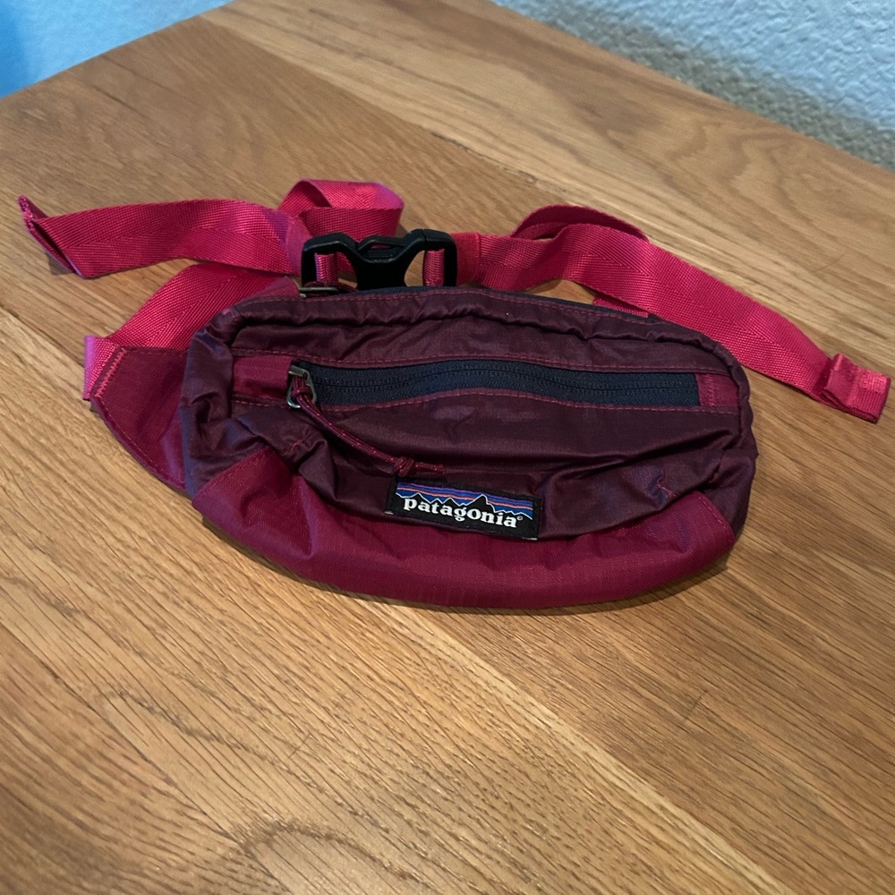 Patagonia Hip Pack